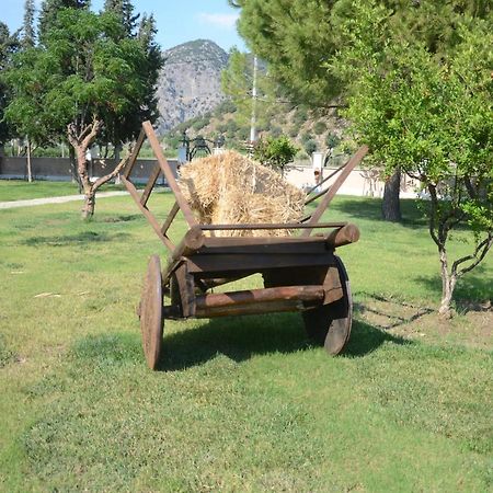 Oasis Apart Hotel Dalyan Luaran gambar
